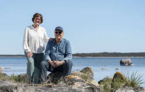 BONDESTUGAN VID KAPPELSHAMN