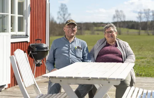 BONDESTUGORNA VID NORRBYS I LÄRBRO 