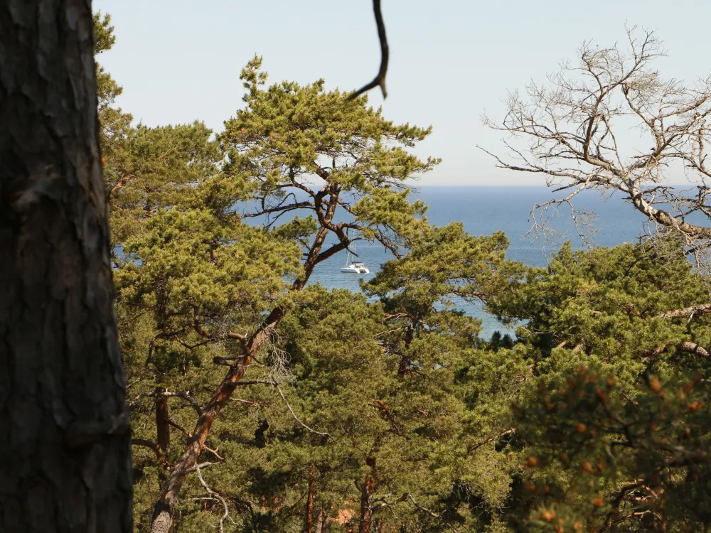 Freizeithaus Örbacken in Ihre Hangvar