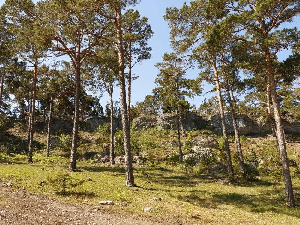 Freizeithaus Örbacken in Ihre Hangvar