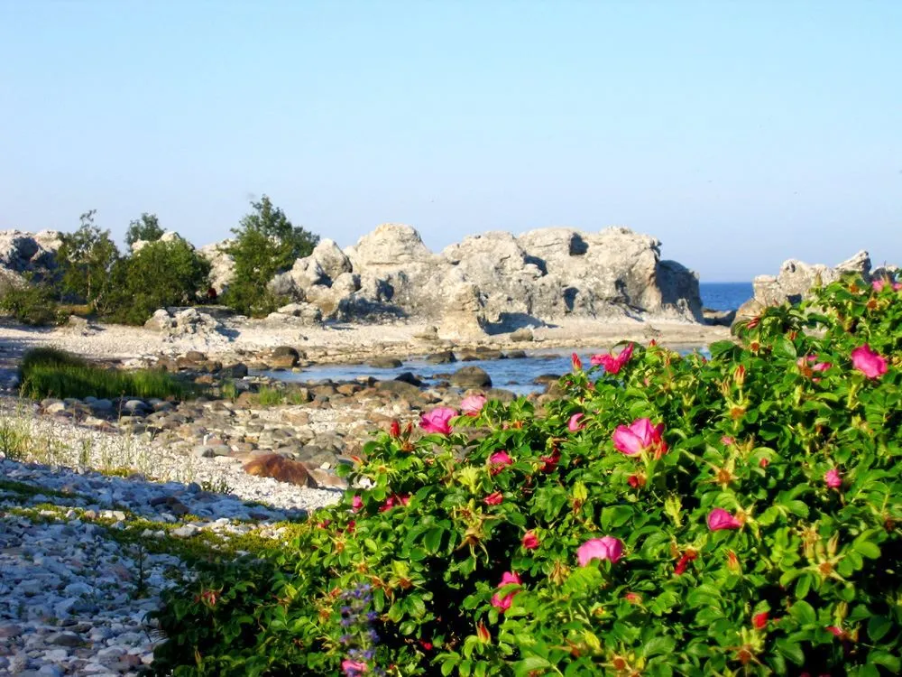 SGR2825 Freizeithaus Gotland Ardre
