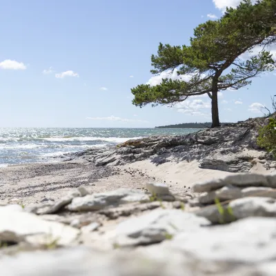 Bondestugan i Gammelgarn